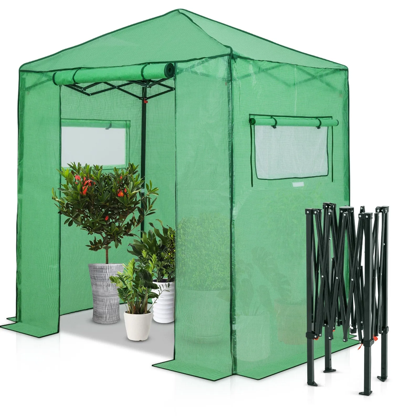 Easy Fast Setup Instant 6x4 Walk-in Indoor/Outdoor Greenhouse