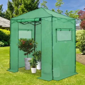Easy Fast Setup Instant 6x4 Walk-in Indoor/Outdoor Greenhouse