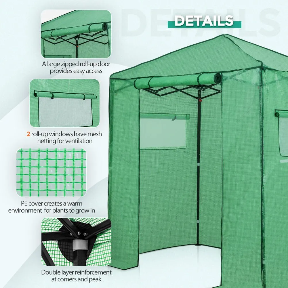 Easy Fast Setup Instant 6x4 Walk-in Indoor/Outdoor Greenhouse