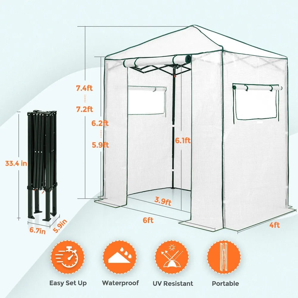 Easy Fast Setup Instant 6x4 Walk-in Indoor/Outdoor Greenhouse