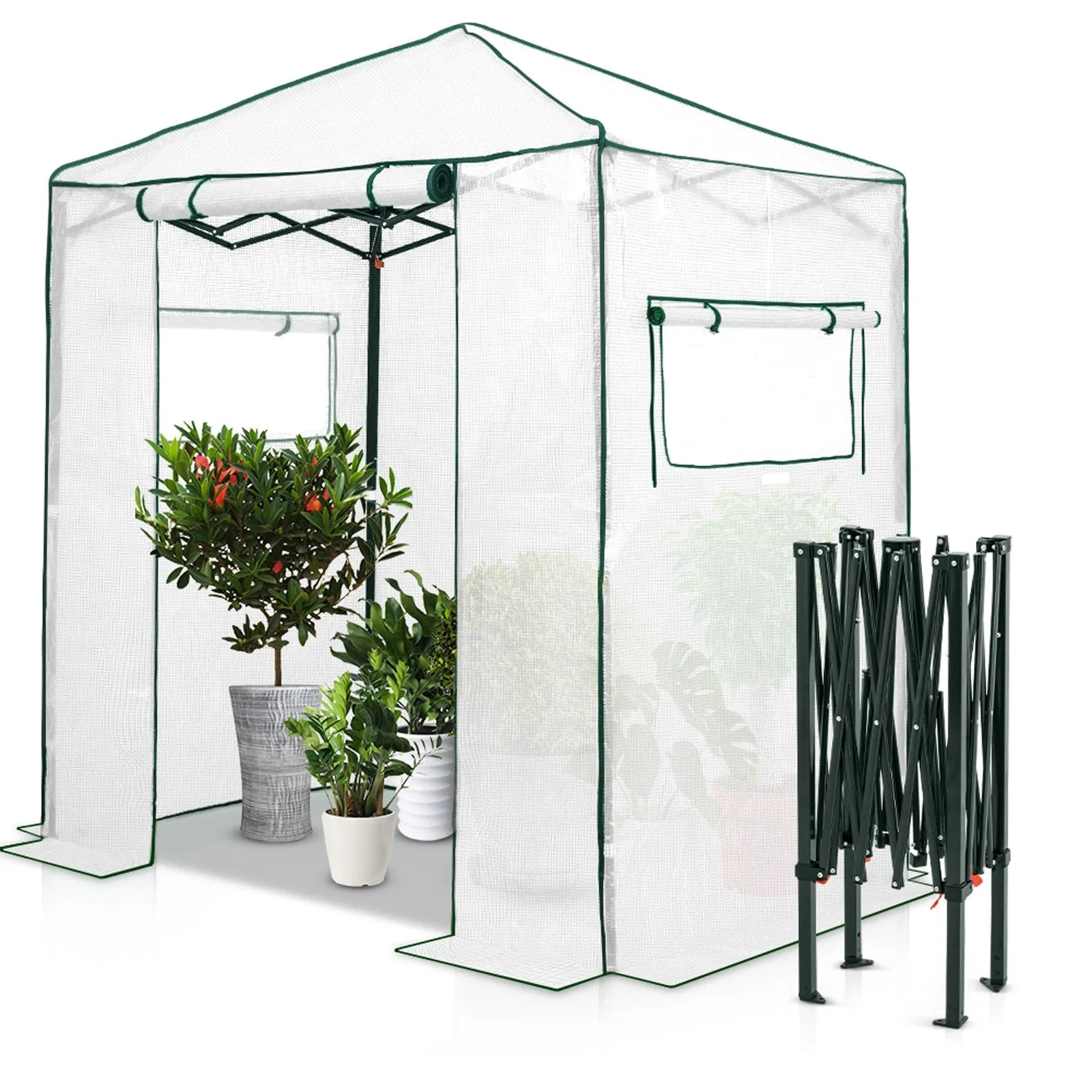 Easy Fast Setup Instant 6x4 Walk-in Indoor/Outdoor Greenhouse